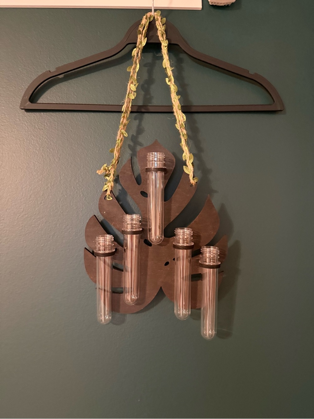 Leaf-Shaped Wall Display with Five Clear Test Tubes - Brown